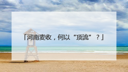 河南麦收，何以“顶流”？