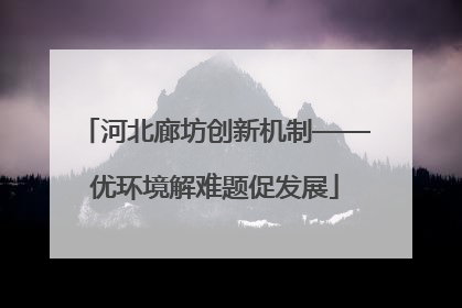 河北廊坊创新机制——优环境解难题促发展