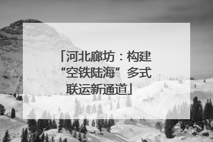 河北廊坊：构建“空铁陆海”多式联运新通道