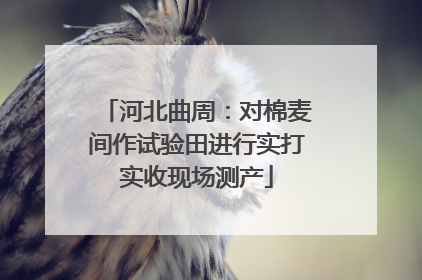 河北曲周：对棉麦间作试验田进行实打实收现场测产