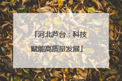 河北芦台：科技赋能高质量发展