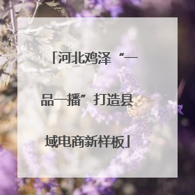 河北鸡泽“一品一播”打造县域电商新样板