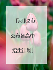 河北2市公布各高中招生计划