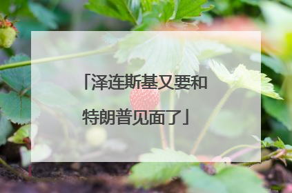 泽连斯基又要和特朗普见面了