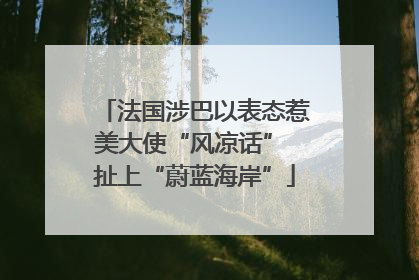 法国涉巴以表态惹美大使“风凉话” 扯上“蔚蓝海岸”