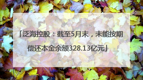 泛海控股：截至5月末，未能按期偿还本金余额328.13亿元
