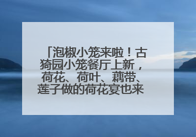 泡椒小笼来啦！古猗园小笼餐厅上新，荷花、荷叶、藕带、莲子做的荷花宴也来尝一下？