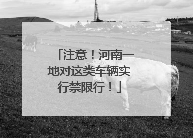 注意！河南一地对这类车辆实行禁限行！