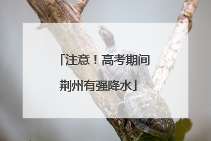 注意！高考期间荆州有强降水