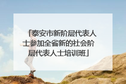 泰安市新阶层代表人士参加全省新的社会阶层代表人士培训班