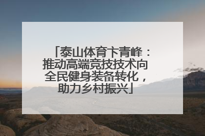泰山体育卞青峰：推动高端竞技技术向全民健身装备转化，助力乡村振兴