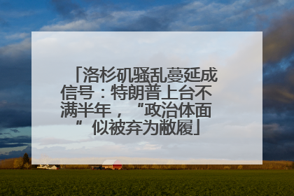 洛杉矶骚乱蔓延成信号：特朗普上台不满半年，“政治体面”似被弃为敝履