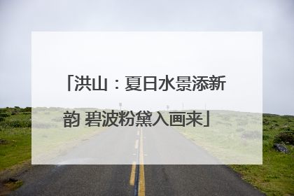 洪山：夏日水景添新韵 碧波粉黛入画来
