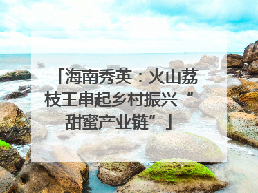 海南秀英：火山荔枝王串起乡村振兴“甜蜜产业链”