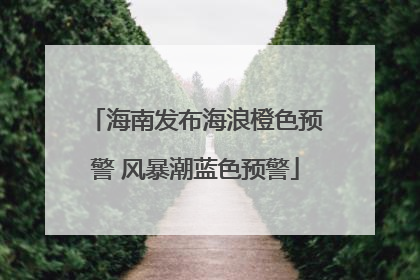海南发布海浪橙色预警 风暴潮蓝色预警