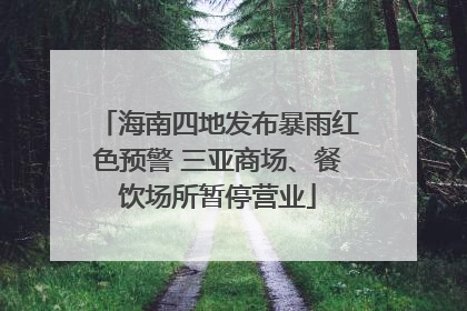 海南四地发布暴雨红色预警 三亚商场、餐饮场所暂停营业