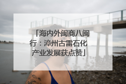 海内外闽商八闽行：漳州古雷石化产业发展获点赞