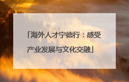 海外人才宁德行：感受产业发展与文化交融