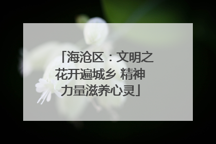 海沧区：文明之花开遍城乡 精神力量滋养心灵