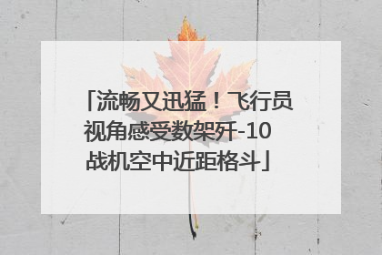 流畅又迅猛！飞行员视角感受数架歼-10战机空中近距格斗