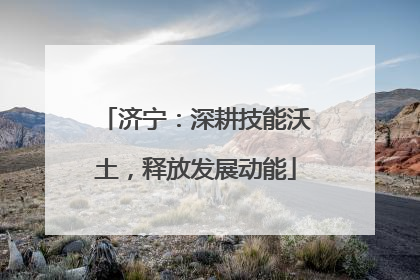 济宁：深耕技能沃土，释放发展动能
