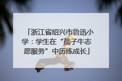 浙江省绍兴市鲁迅小学：学生在“孺子牛志愿服务”中历练成长