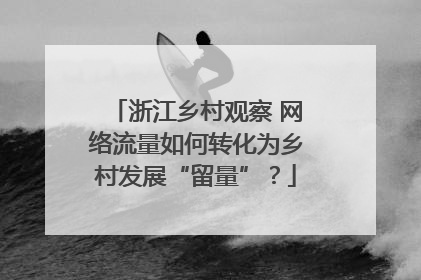 浙江乡村观察 网络流量如何转化为乡村发展“留量”？