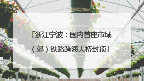 浙江宁波：国内首座市域（郊）铁路跨海大桥封顶