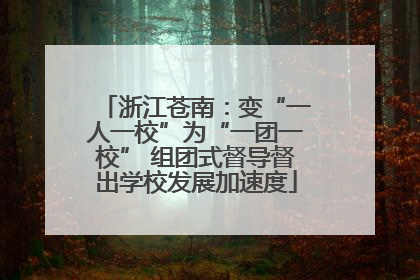 浙江苍南：变“一人一校”为“一团一校” 组团式督导督出学校发展加速度