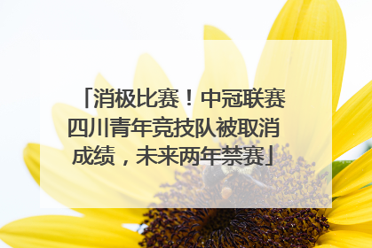 消极比赛！中冠联赛四川青年竞技队被取消成绩，未来两年禁赛