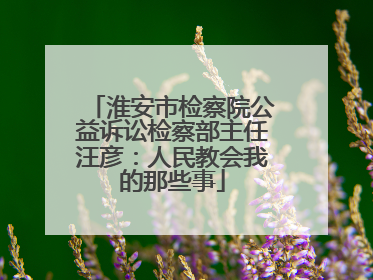 淮安市检察院公益诉讼检察部主任汪彦：人民教会我的那些事