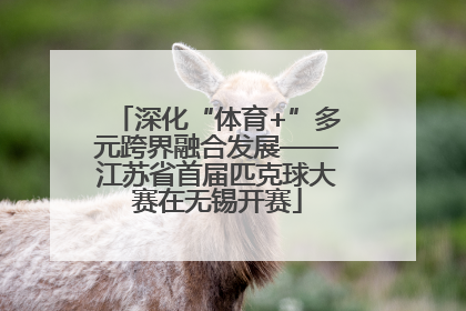 深化“体育+”多元跨界融合发展——江苏省首届匹克球大赛在无锡开赛