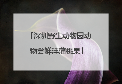 深圳野生动物园动物尝鲜洋蒲桃果