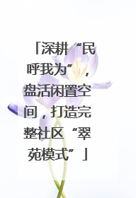 深耕“民呼我为”，盘活闲置空间，打造完整社区“翠苑模式”