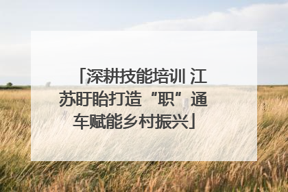 深耕技能培训 江苏盱眙打造“职”通车赋能乡村振兴