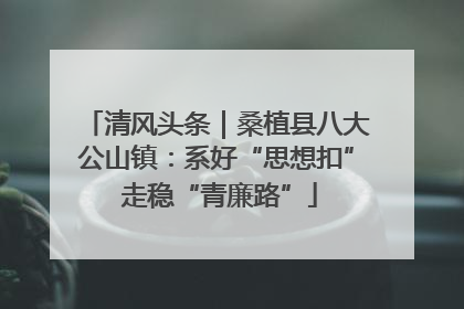 清风头条｜桑植县八大公山镇：系好“思想扣” 走稳“青廉路”