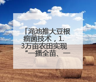 渑池推大豆根瘤菌技术，1.3万亩农田实现“一播全苗、一生节肥”
