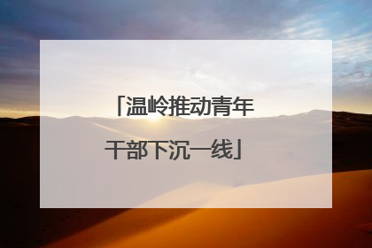 温岭推动青年干部下沉一线