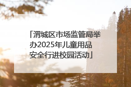 渭城区市场监管局举办2025年儿童用品安全行进校园活动