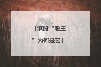 港股“股王”为何是它