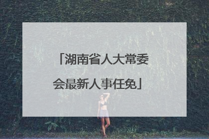 湖南省人大常委会最新人事任免
