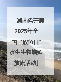 湖南省开展2025年全国“放鱼日”水生生物增殖放流活动