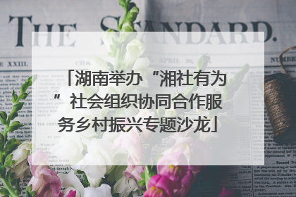 湖南举办“湘社有为”社会组织协同合作服务乡村振兴专题沙龙