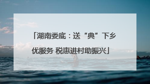 湖南娄底：送“典”下乡优服务 税惠进村助振兴