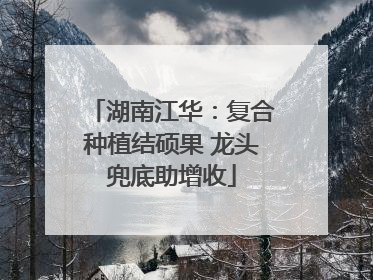 湖南江华：复合种植结硕果 龙头兜底助增收