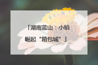 湖南蓝山：小镇崛起“箱包城”