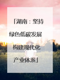 湖南：坚持绿色低碳发展 构建现代化产业体系