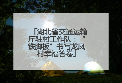 湖北省交通运输厅驻村工作队：“铁脚板”书写龙凤村幸福答卷