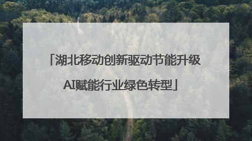 湖北移动创新驱动节能升级 AI赋能行业绿色转型
