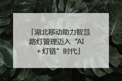 湖北移动助力智慧路灯管理迈入“AI＋灯链”时代